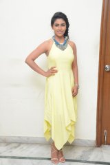  Kruthika Jayakumar Interview About Rojulu Marayi